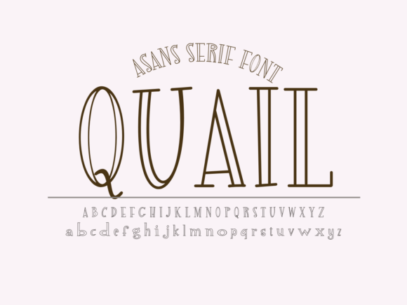 Quail: A Playful Display Font for Unique Designs